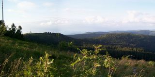 Ausblick von der Hornisgrinde auf den Schwarzwald