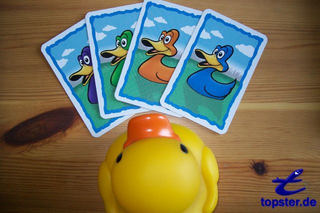 Aquí toco los patos superior St. Energía muy divertido