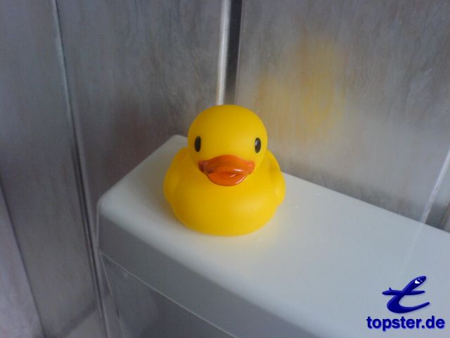 Jeg skal også gange