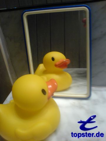 Ven tan bien... El frente de mi espejo soy elegante para las damas de patos!