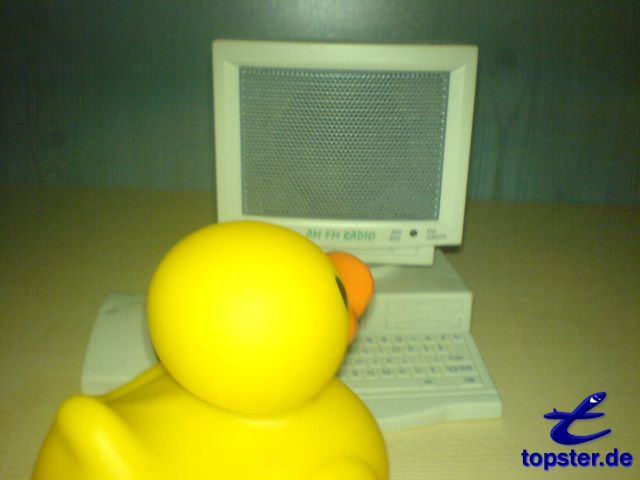 Natürlich besitze ich auch einen PC, damit ich mit meinen Entenfreunde schreiben kann