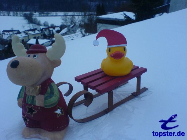 Hoho Hoho, ik breng veel geschenken liefde eenden kinderen met Kerstmis, met mijn Rendier Rudolf