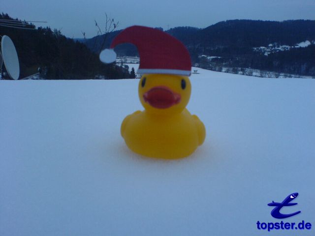 Ich bin der Enten Nikolaus