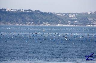 Colourful buoys