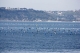 Colourful buoys