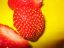 Fraises