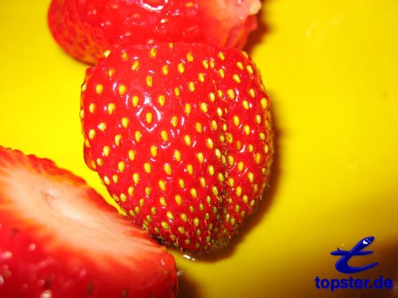 Erdbeeren