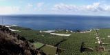 Plantations de bananes à La Palma