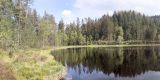 Schurmsee nella foresta nera