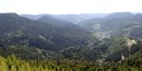 Westweg bei Alexanderschanze (Schwarzwald)