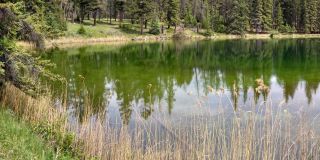 Lago, Jasper