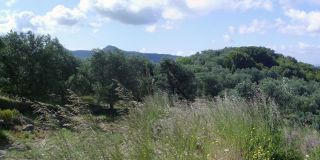 Landschap in Corfu