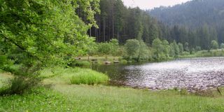 Senkenbachsee bei Baiersbronn