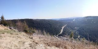 Ausblick vom Westweg in Richtung Ruhestein und Hornisgrinde