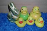 Canard